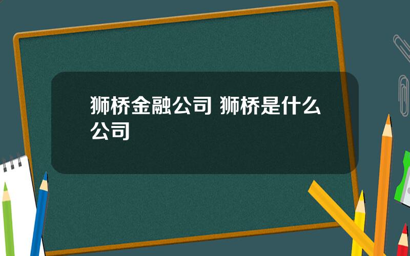 狮桥金融公司 狮桥是什么公司